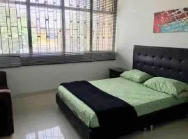 SPACIOUS STUDIO CENTRAL LOCATION (201)