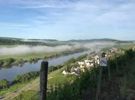 Wein- und Gästehaus Genetsch