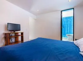 LOFT APARTMENT IN CENTRAL LOCATION (301)
