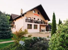 Casa Rareş Suceviţa