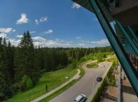 Family Apartment in Silver Mountain Resort