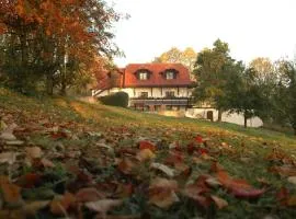 Penzion Dvůr
