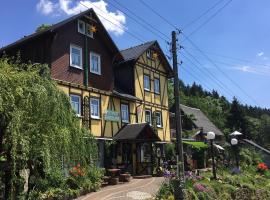 Haus Rennsteigrose, cheap hotel in Steinheid