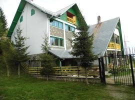Pensiunea Luminita, pet-friendly hotel in Ciungetu