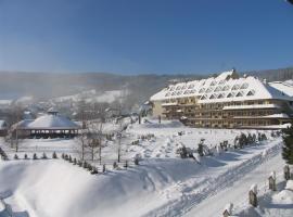 Hotel Stok, cheap hotel in Wisła