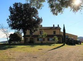 PIAN DEL LECCIONE