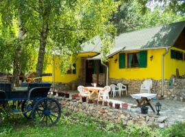 Yellow House by the river, rental liburan di Lipovac