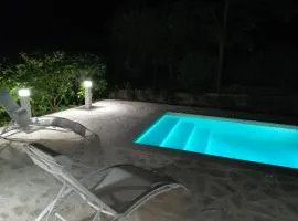Palms Villa