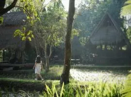 Sapulidi Cafe, Gallery & Resort