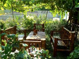 Guest House Metreveli, homestay in Borjomi