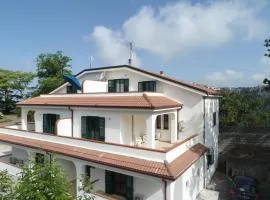 Colibrì