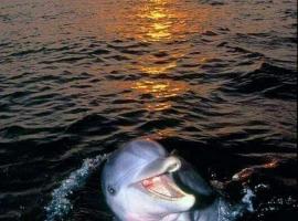 Aspra al delfino bianco, hotel em Bagheria