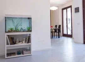 B&B AQUARIUM