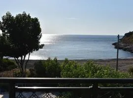 Irene's Beach Front house