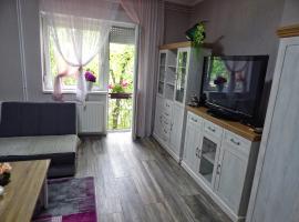 Apartman Centar, отель в городе Бачки-Петровац