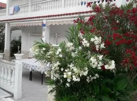 Lovely Marjetka apartment