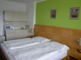 Apartmány Wellness Holiday Frymburk
