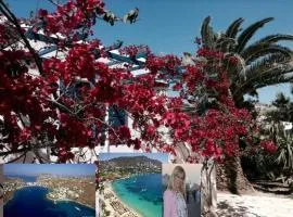 Magical Ornos! Beach House!Beach 1' walk-Mykonos town 2km