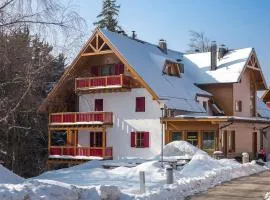 Bolfenk lodge apartment