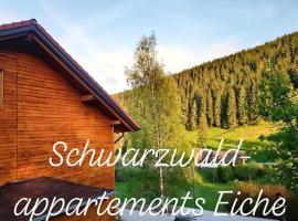 Black Forest Apartements by Hotel Grüner Baum Feldberg, διαμέρισμα σε Feldberg