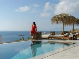 The Summit of Mykonos