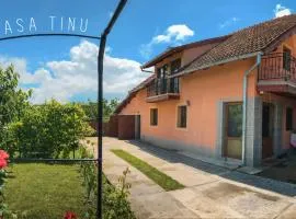 Casa Tinu