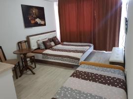 VIK Apartments, hotell i Vinica