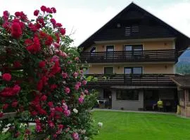 Apartmaji Alpski cvet - Hiša Gorenc