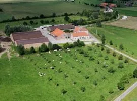 Gite Prairie Fleurie