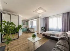 Apartment Brovary Studio 225