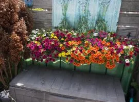 Amsterdam Roof Terrace B&B