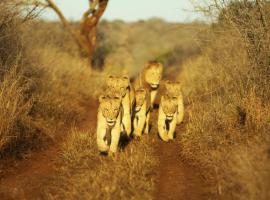 Thanda Safari, lodge a Hluhluwe