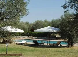 Chalet 6 Agriturismo