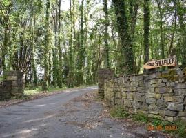 FINCA SALVADOR, renta vacacional en Baralla