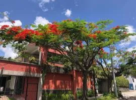 Hotel Arbol de Fuego