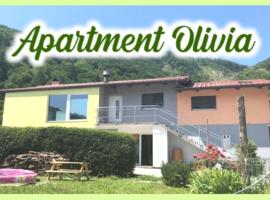 Apartment Olivia, hotell med parkering i Čiginj