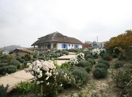 Safari Danube Delta