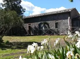 POGGIO ROSETO