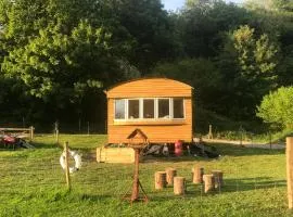 Shepherds Huts Ham Hill, 2 double beds, Bathroom, Lounge, Diner, Kitchen, LOVE dogs & Cats Looking out to lake and by Ham Hill Country Park plus parking for large vehicles available also great deals on workers long term This is the place to relax and BBQ