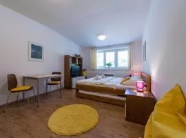 Apartmán Lipno 20