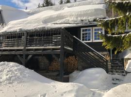 Chalupa Pri vleku., hotel v Donovalech