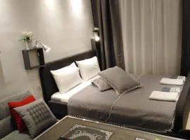 Mini Central Studio