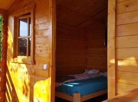 Retezat Retreat - wood cabin – hotel w mieście Clopotiva