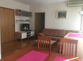Apartment Pavešić 1
