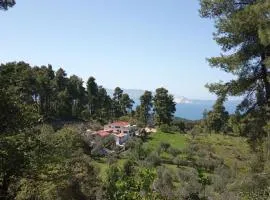 Houni House