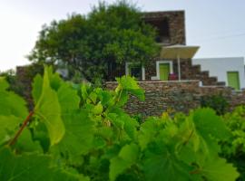Cycladic Vineyard House, casa o chalet en Apollonia