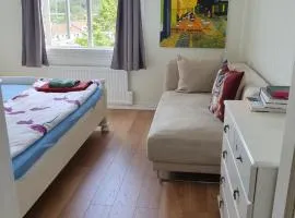 Valhalla bengtfors Private house