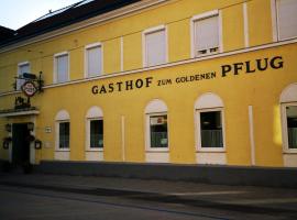 Gasthof zum Goldenen Pflug, מלון באמשטטן