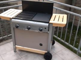 CHE F3 gauche Terrasse jardin barbecue hypercentre wifi