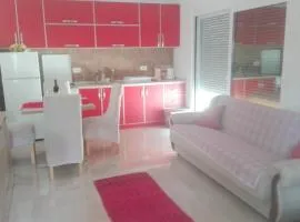 Apartman Strahinja